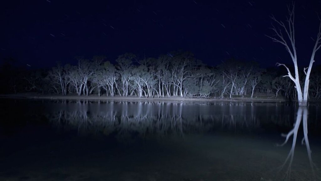 Filmes de Terror pouco Conhecidos O Segredo do Lago Mungo (Lake Mungo)