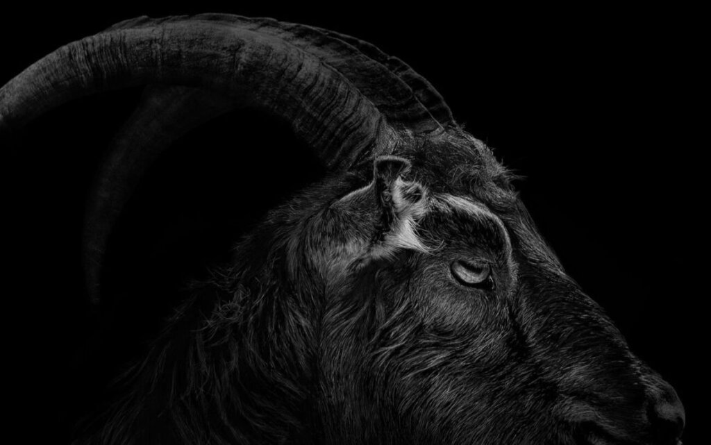 Filmes de terror mais assustadores do mundo a bruxa (1)